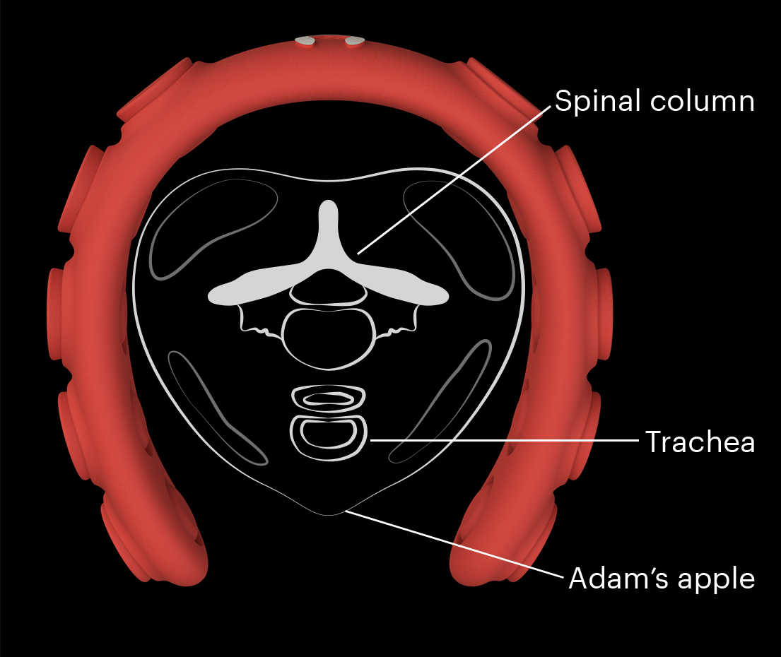 Freediver Neckweight X-ray